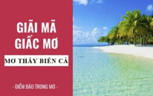 Giải mã giấc mơ thấy biển