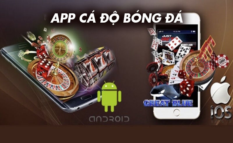 app cá độ bóng đá là gì?